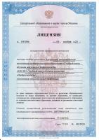 Сертификат автошколы ПрофессионалЪ